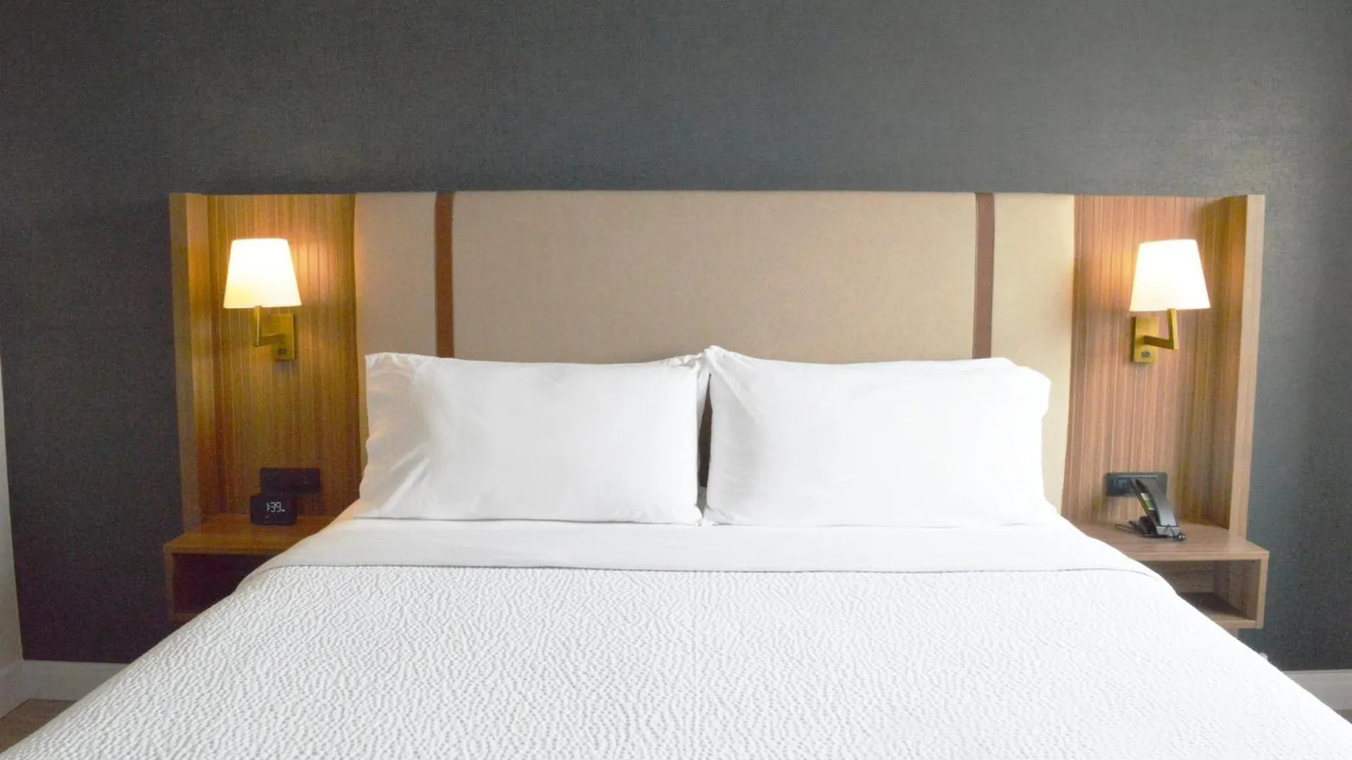 Hotel Holiday Inn & Suites Winnipeg Downtown By Ihg