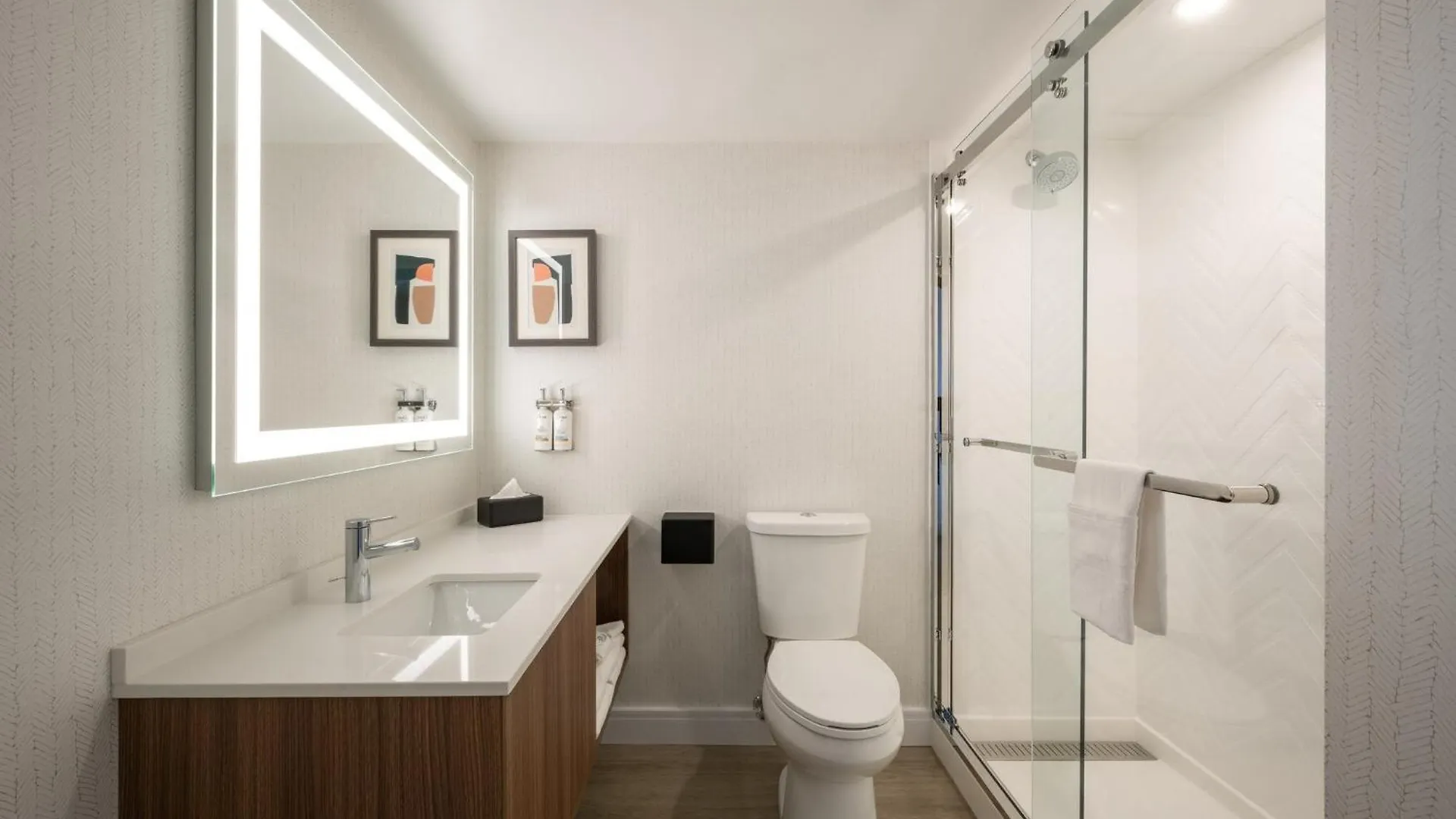 Hotel Holiday Inn & Suites Winnipeg Downtown By Ihg