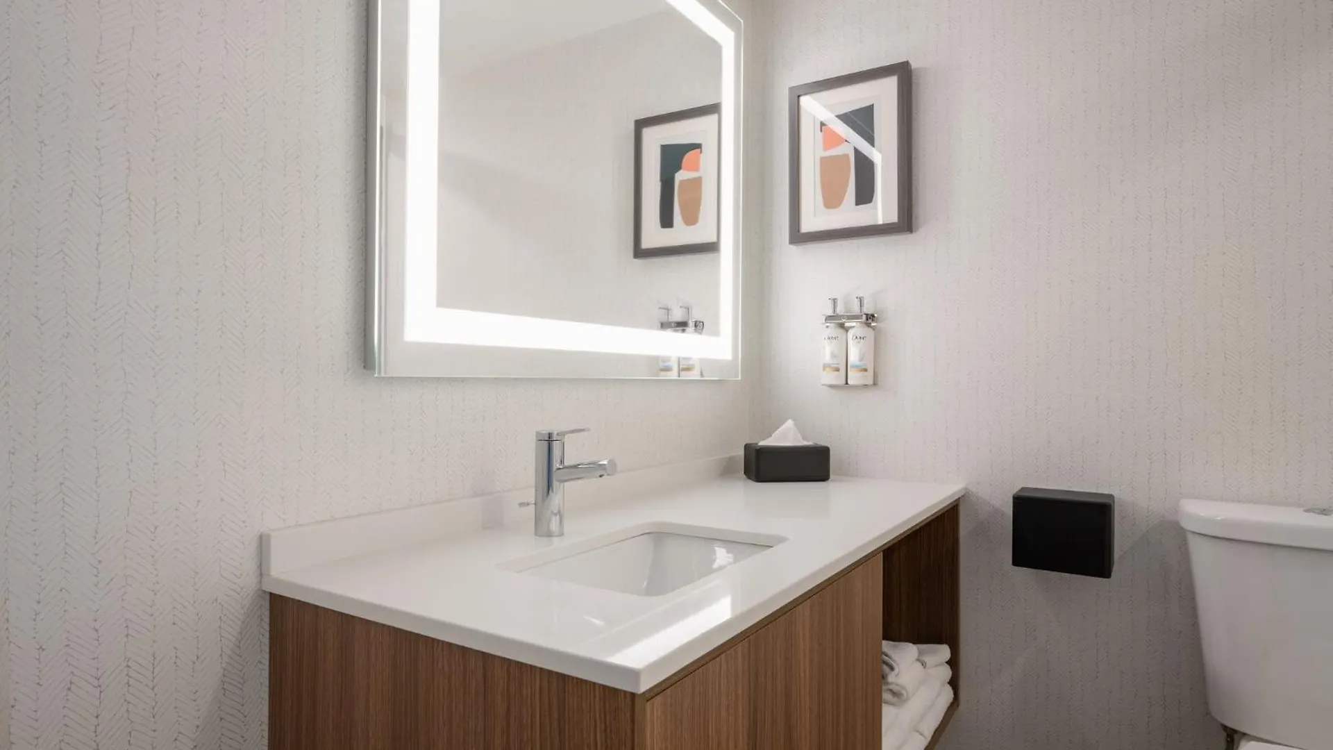 Holiday Inn & Suites Winnipeg Downtown By Ihg 3*,  Kanada